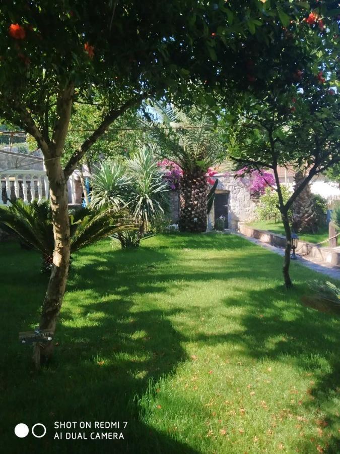 Villa Stella Rose Luštica Exterior foto